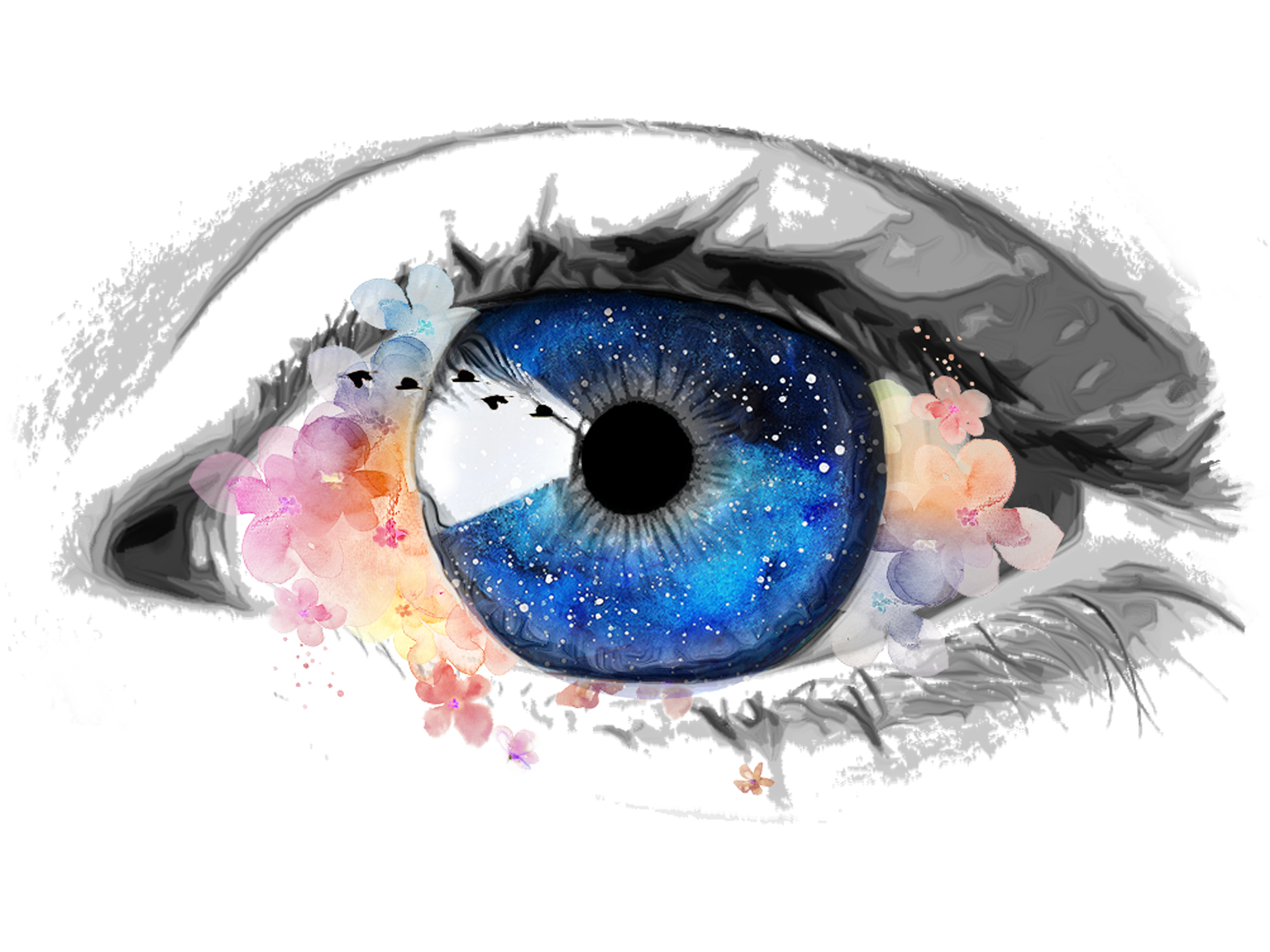 eye-4997724