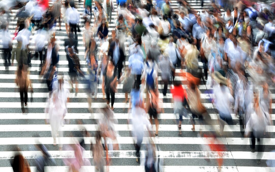 La mise en mouvement du réel