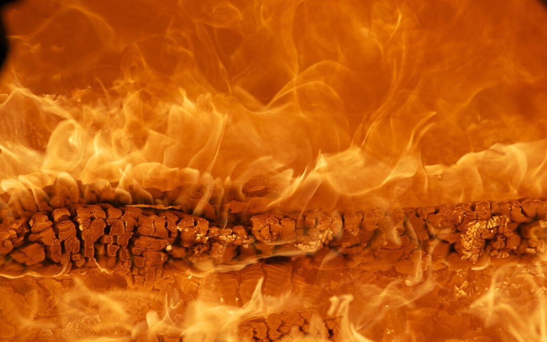 Thermodynamique