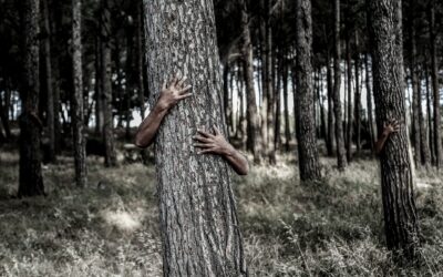 Invisible